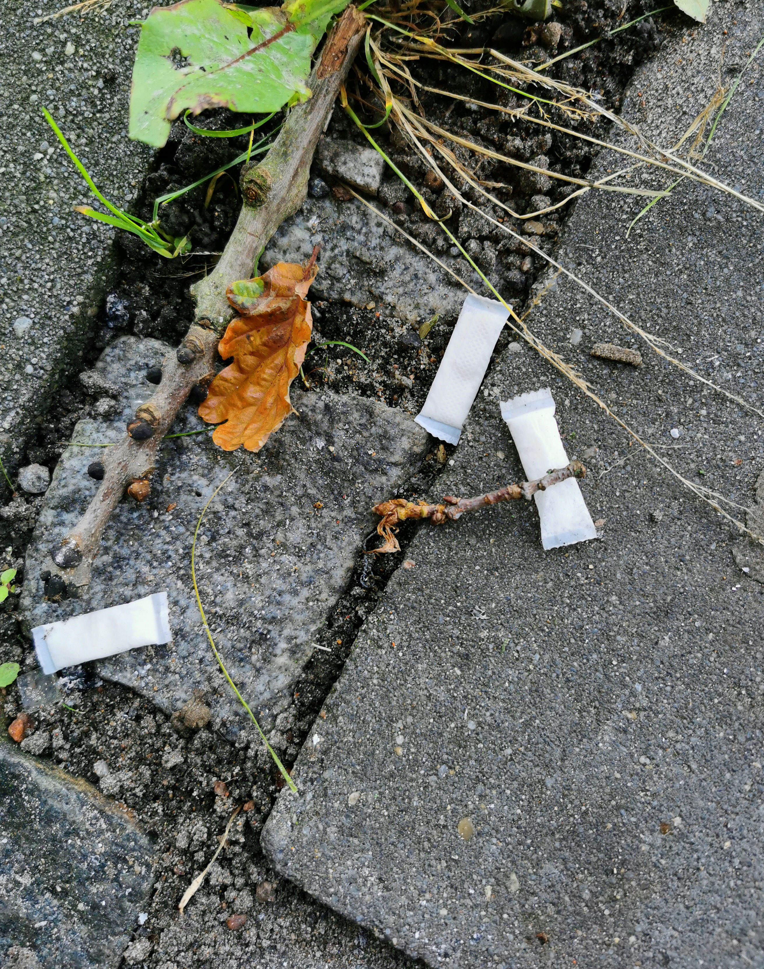 Snus på vejen i naturen