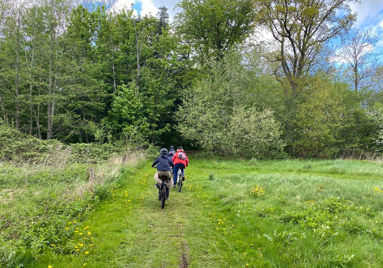 Grønne arealer i Ullerslev