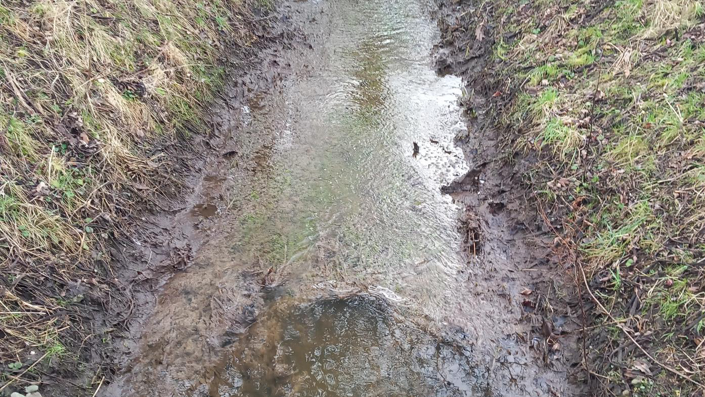 Forurening i Bredemoserenden