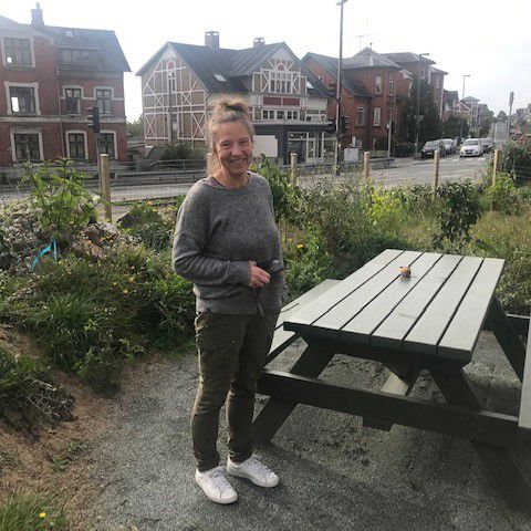 Tårnparken hegn