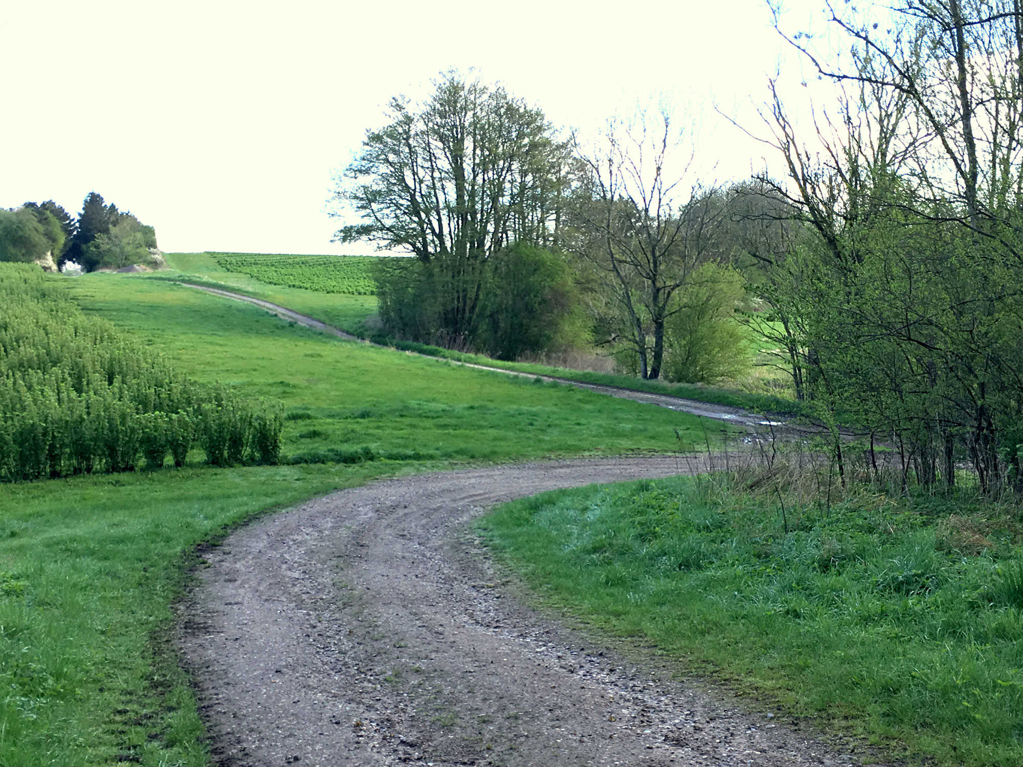 Grønne marker i Kogsbølle