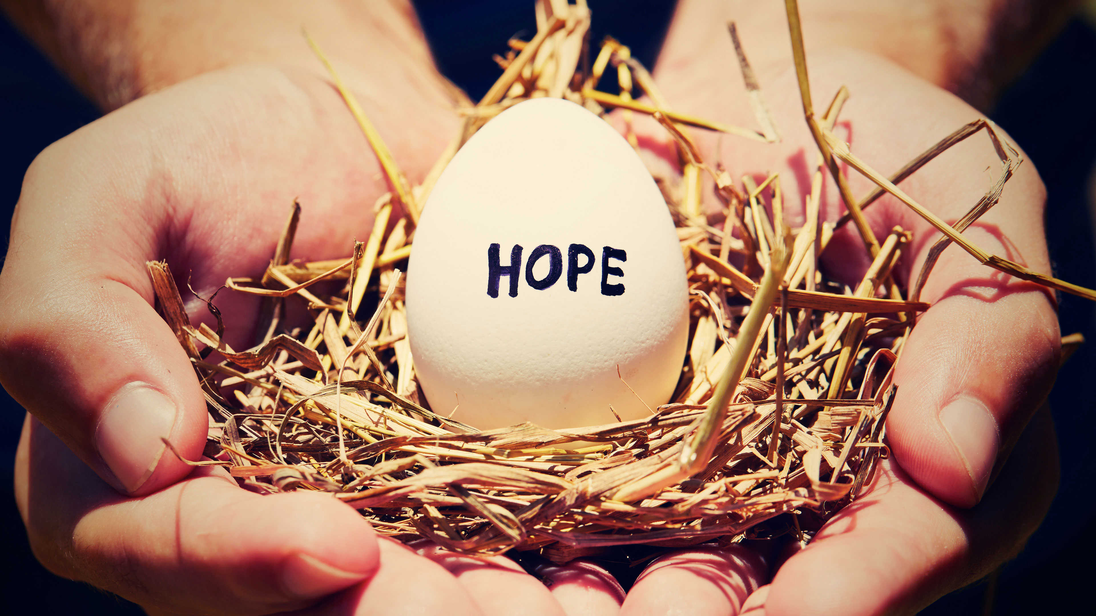 Hænder der holder en rede med et æg, hvor der står HOPE