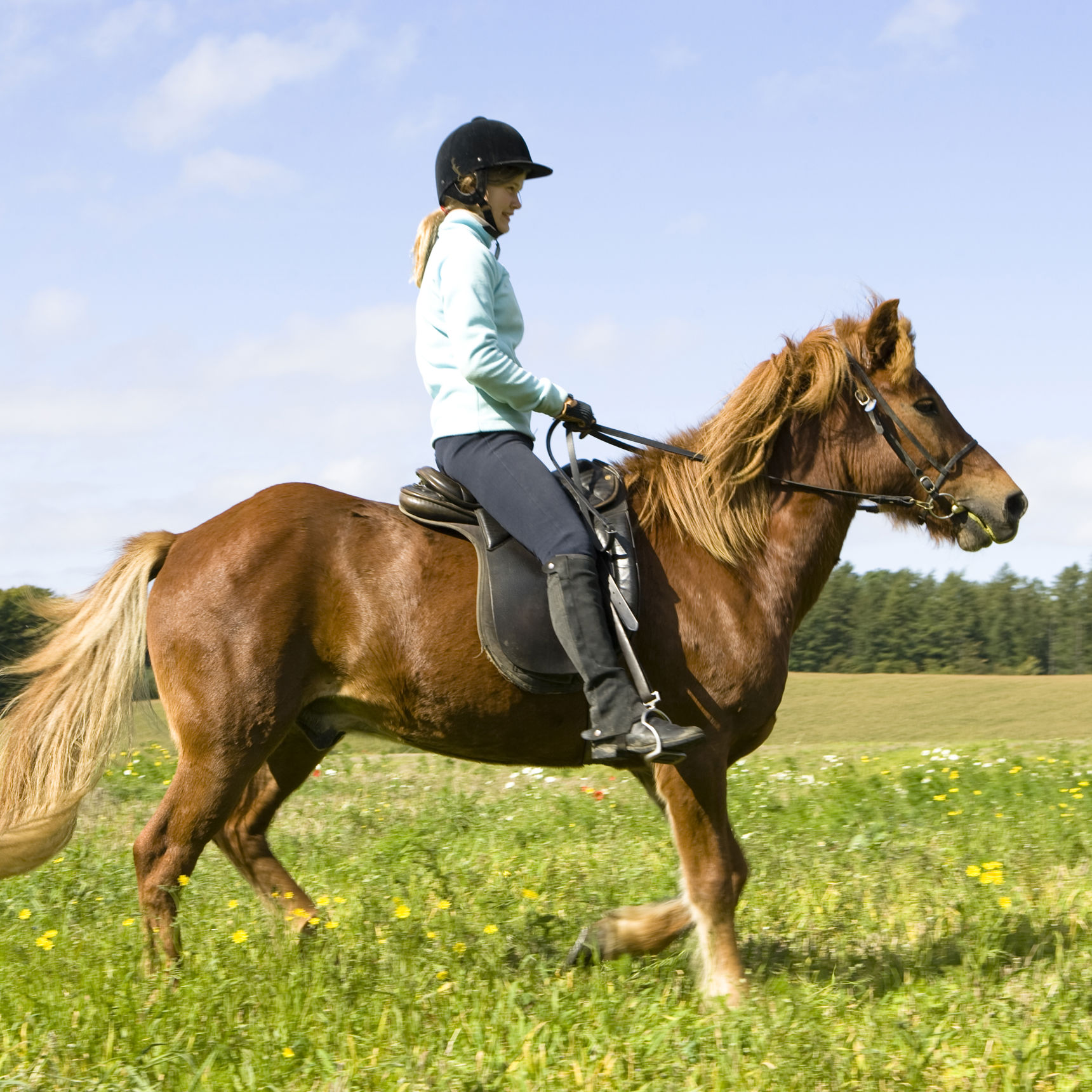 Pige der ridder på en hest
