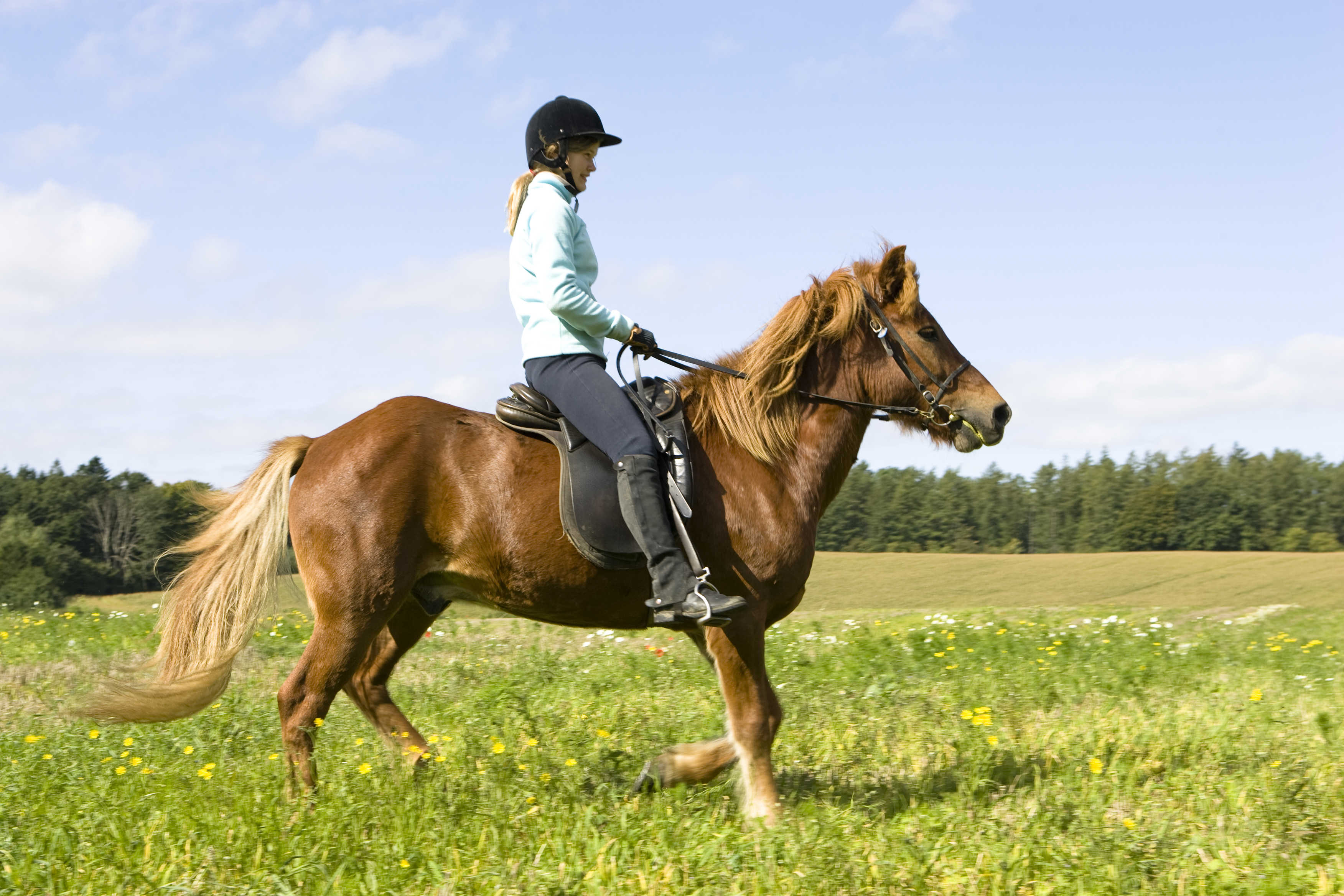 Pige der ridder på en hest