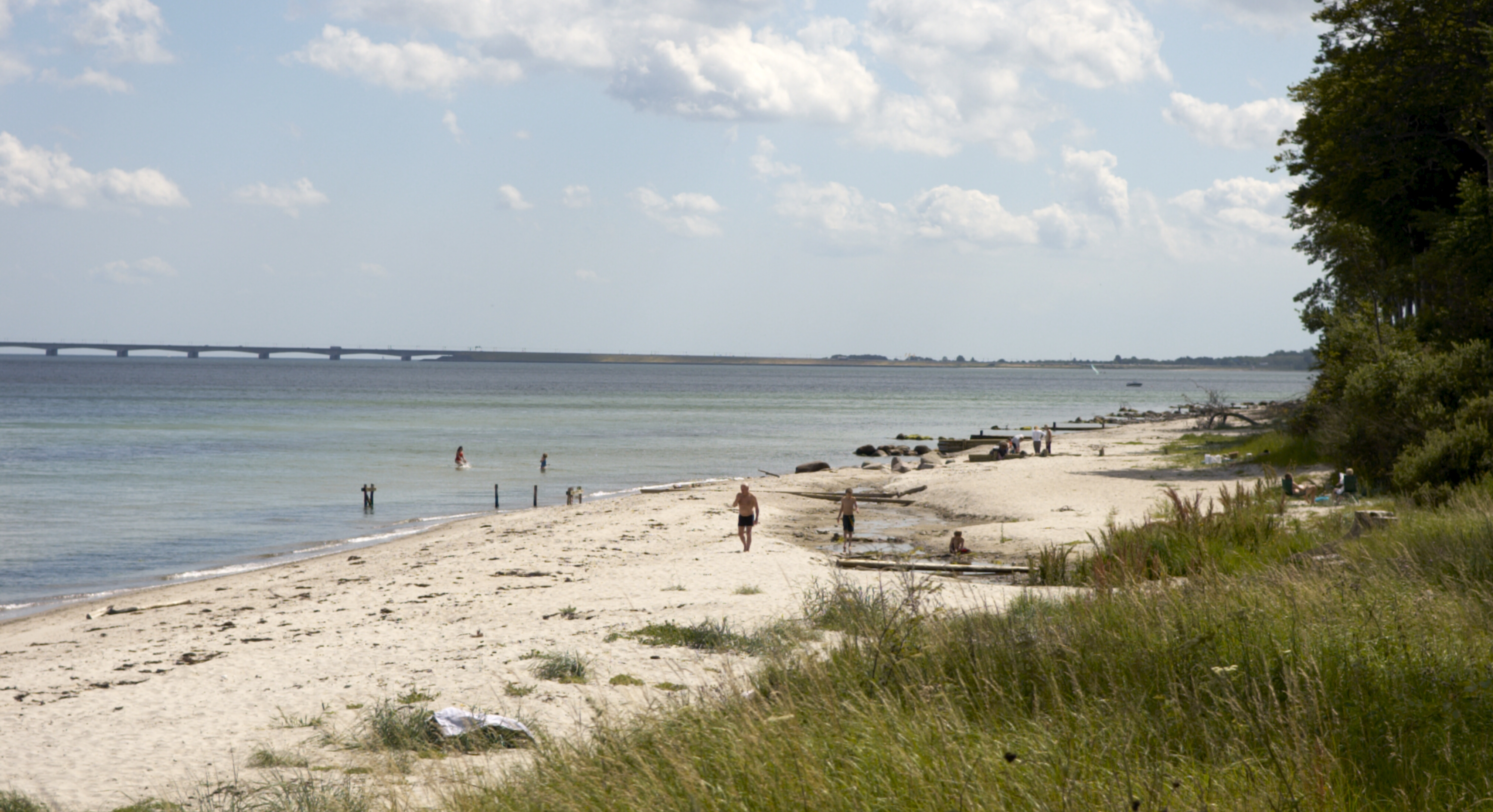 Stranden ved Teglværksskoven