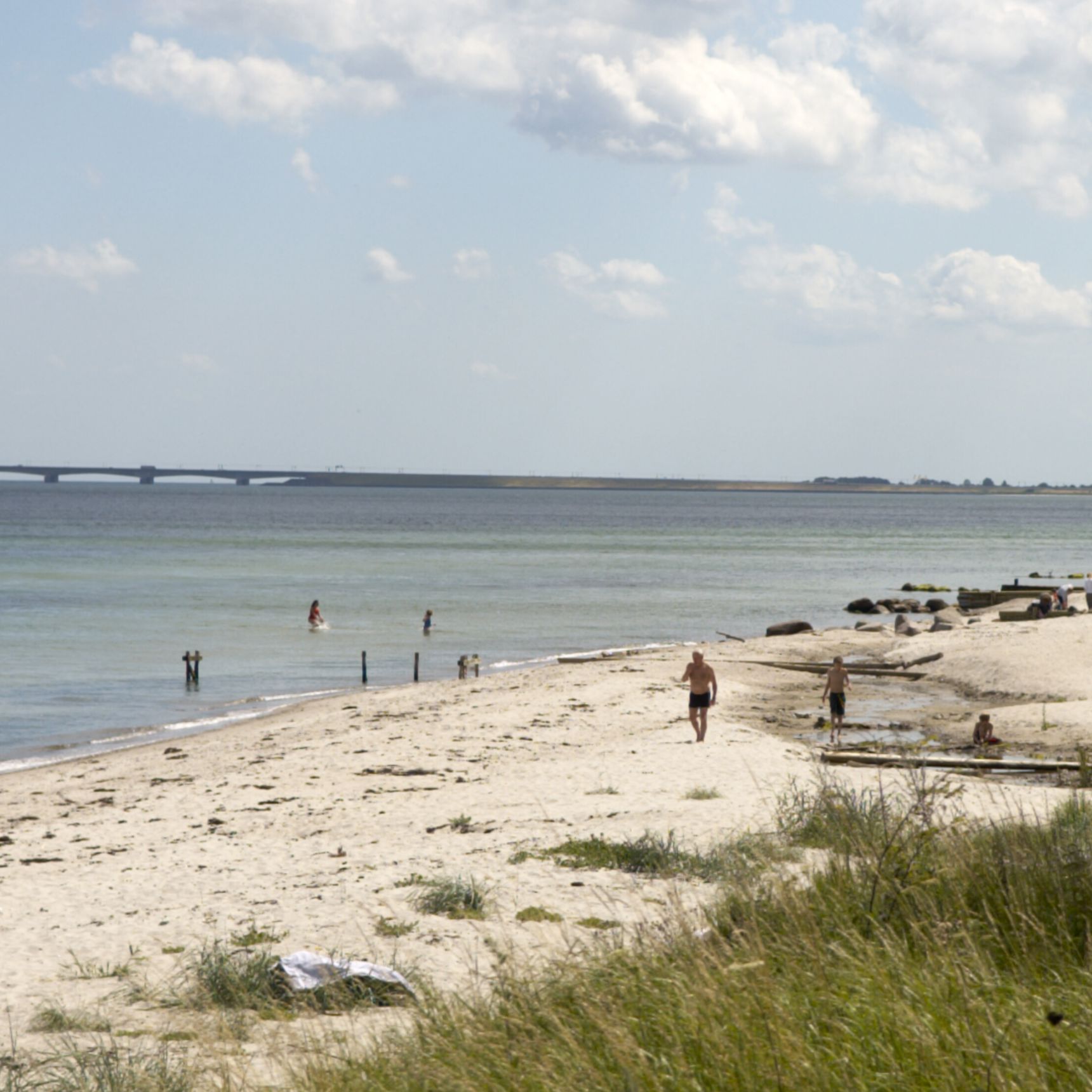 Stranden ved Teglværksskoven