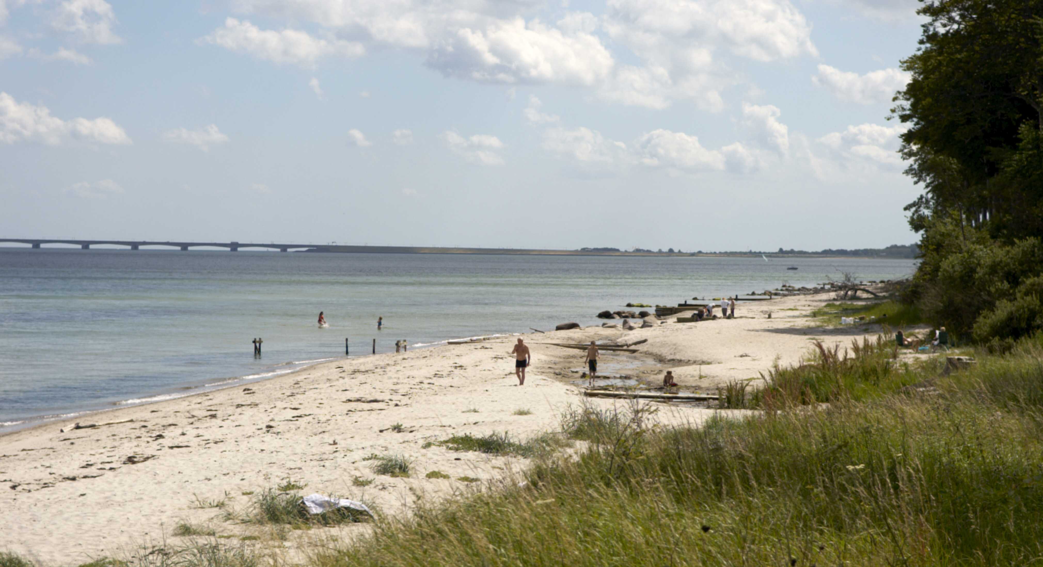 Stranden ved Teglværksskoven